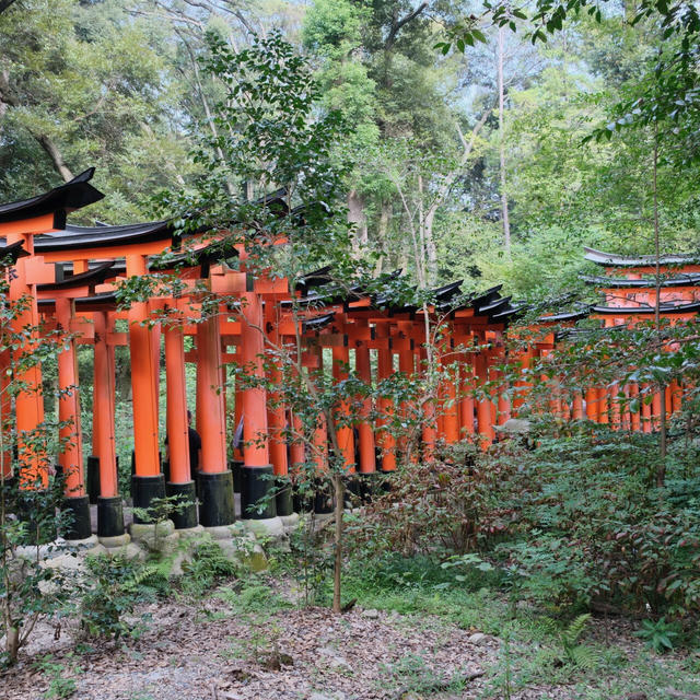 2024/09 Japan photo 8